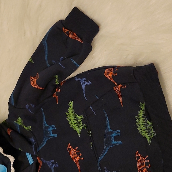 Free Planet Dinosaur Hoodie - 12 Mos. - Picture 4 of 6